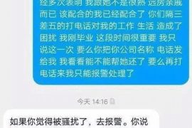 船山为什么选择专业追讨公司来处理您的债务纠纷？